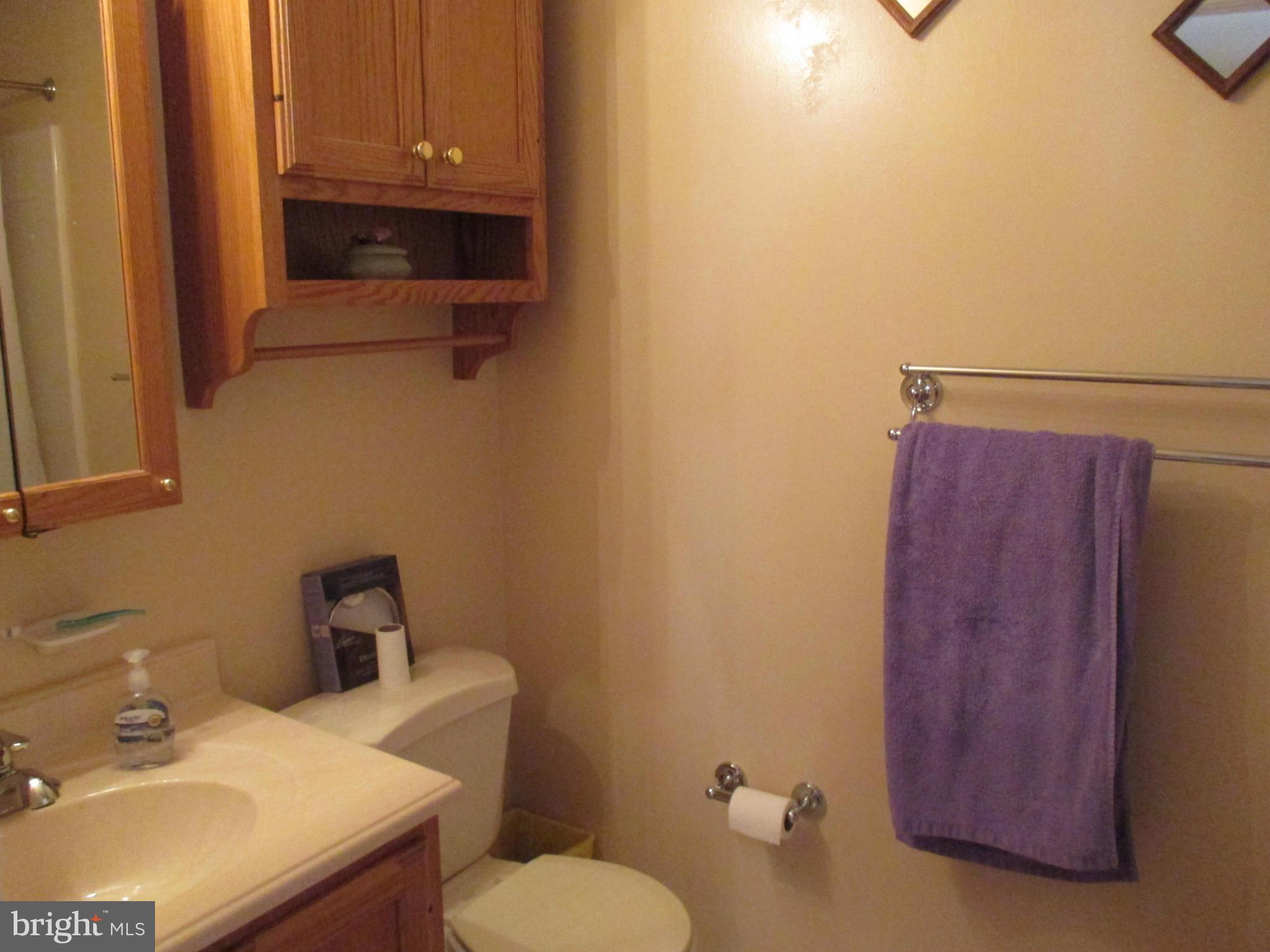 2230 Dairy Farm Road Odenton, MD 21113 - Photo 26 of 30 Bath (Master)