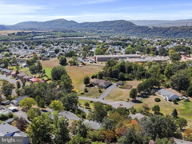 an aerial view of residential houses with outdoor space and trees