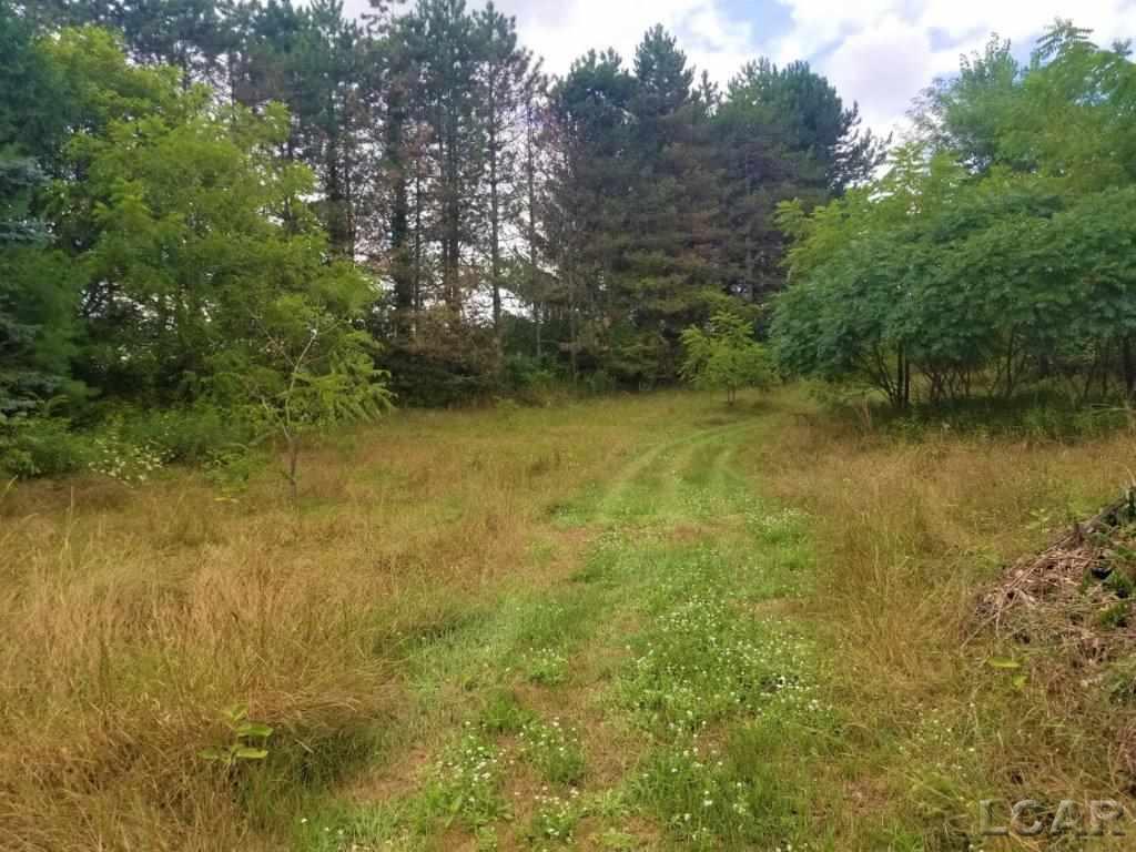 2691 East Carleton Road Adrian, MI 49221 - Photo 12 of 35