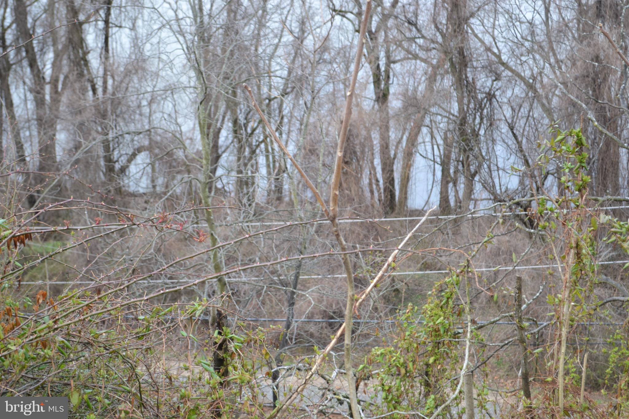 0 South River Road Halifax, PA 17032 - Photo 19 of 33