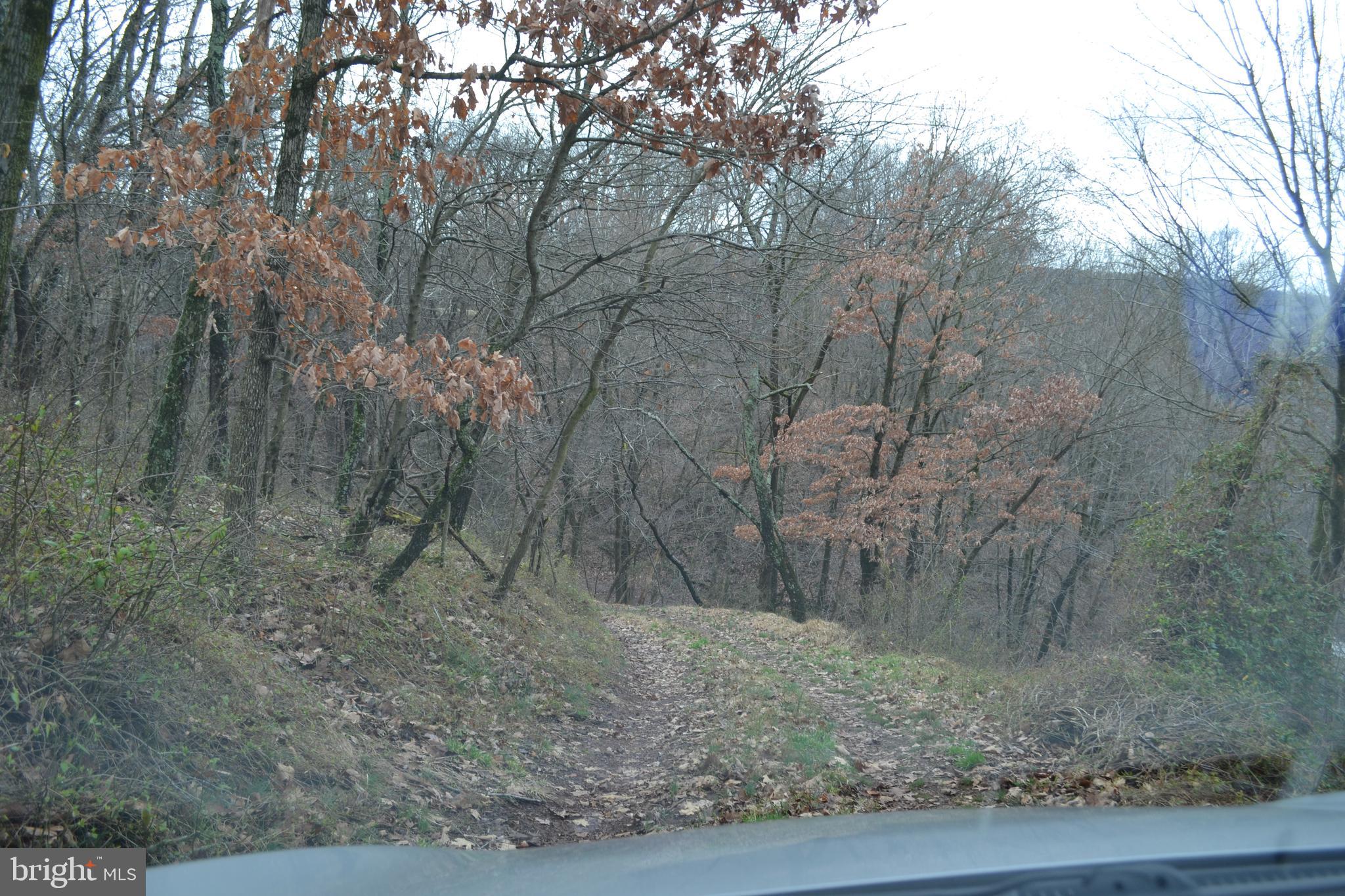 0 South River Road Halifax, PA 17032 - Photo 21 of 33