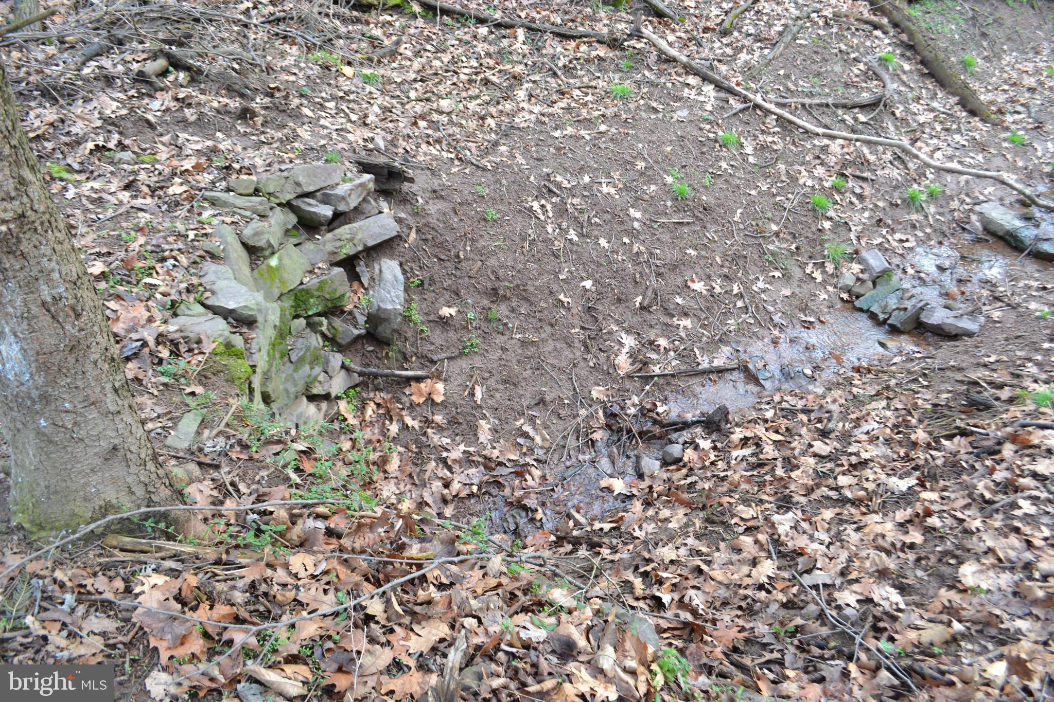 0 South River Road Halifax, PA 17032 - Photo 24 of 33