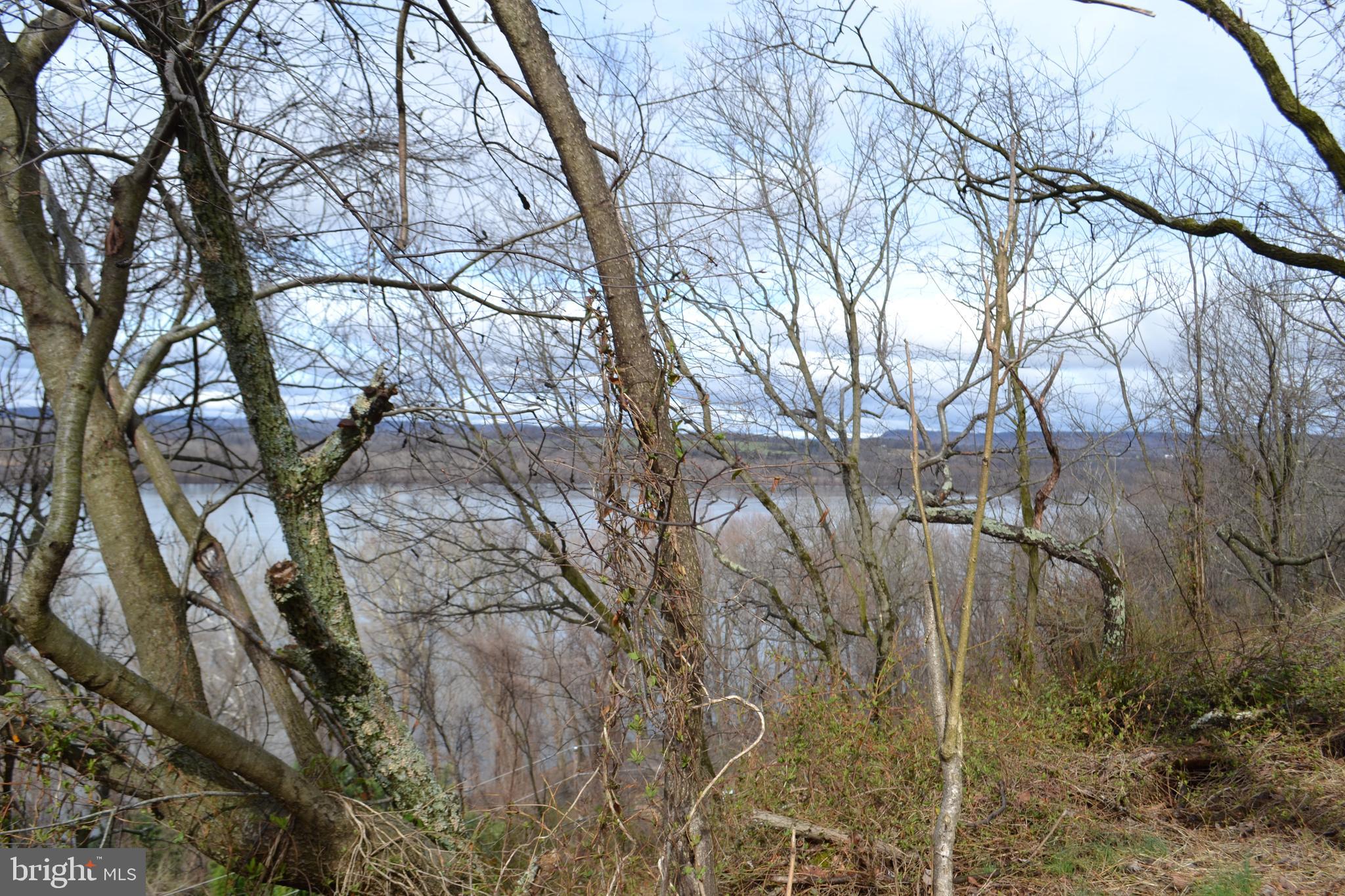 0 South River Road Halifax, PA 17032 - Photo 3 of 33