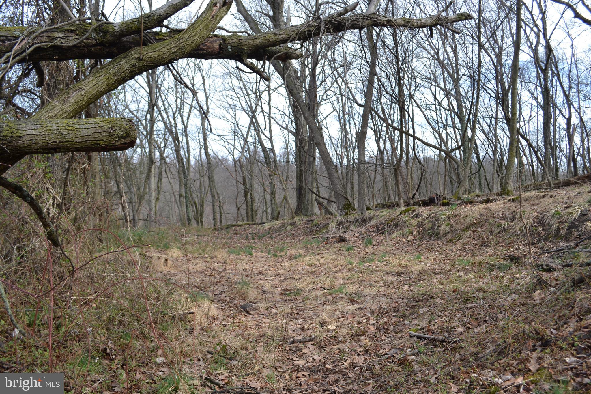 0 South River Road Halifax, PA 17032 - Photo 7 of 33