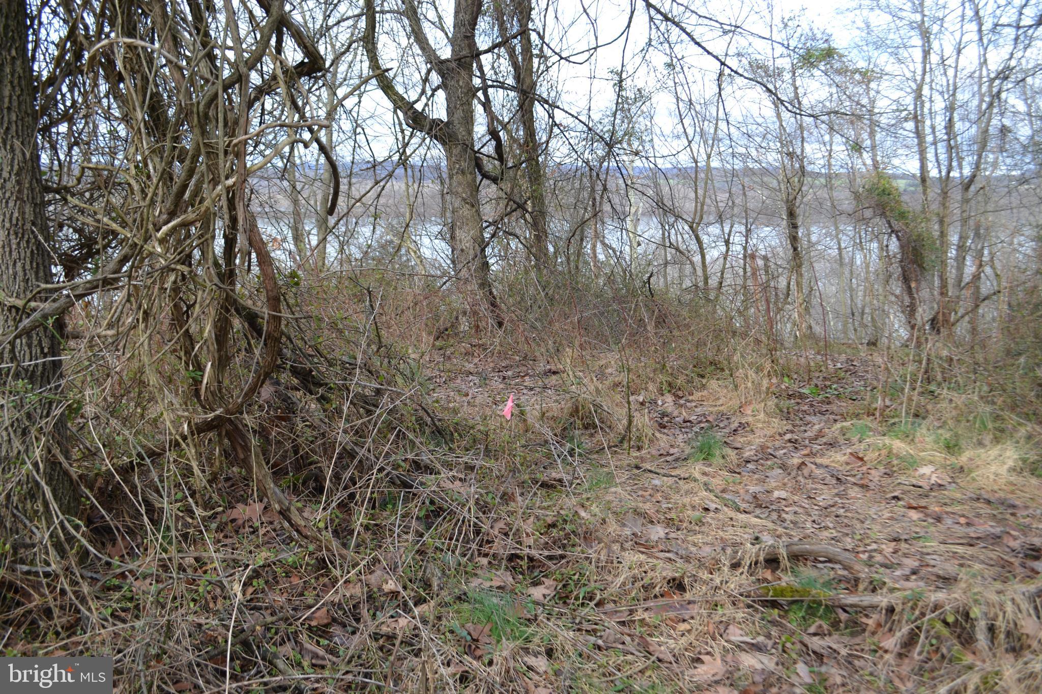 0 South River Road Halifax, PA 17032 - Photo 8 of 33