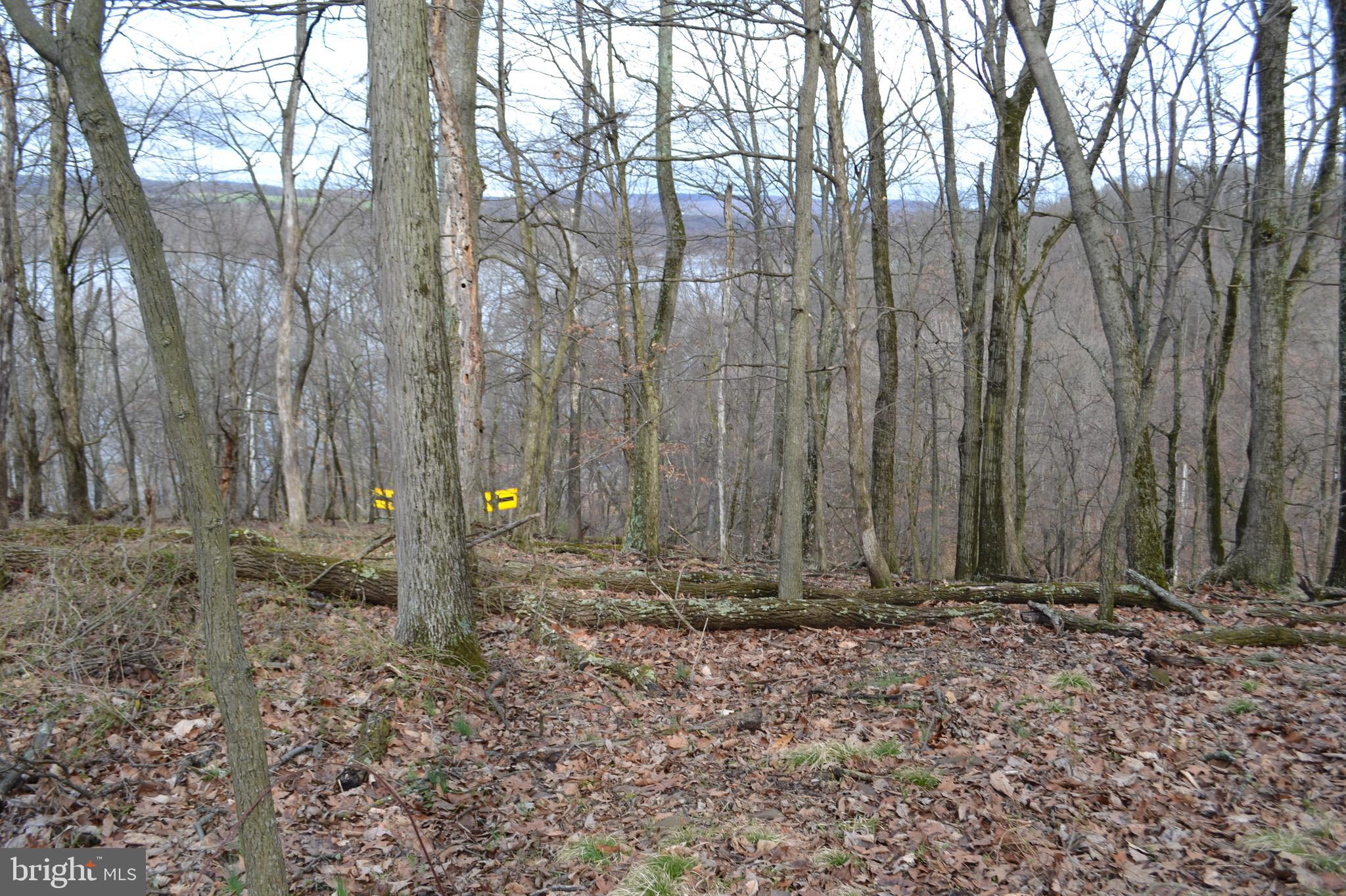 0 South River Road Halifax, PA 17032 - Photo 10 of 33