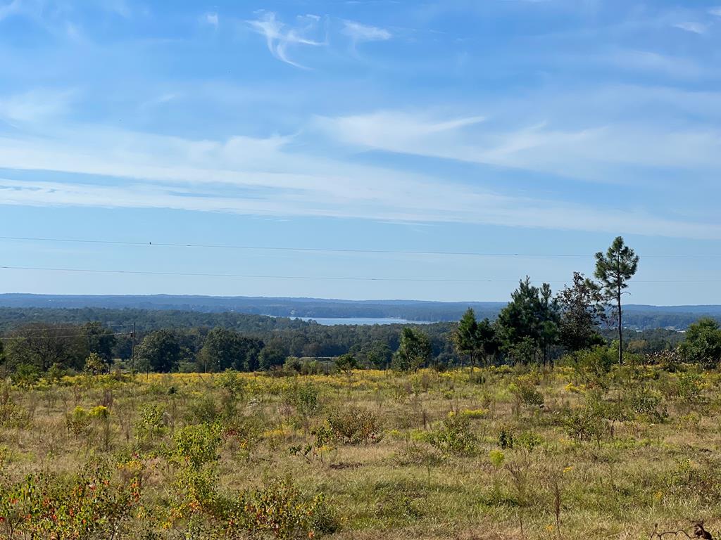 327 Deer Point Road Georgetown, GA 39854 - Photo 1 of 10