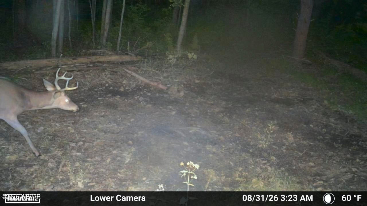 1322 Factory Road Cogan Station, PA 17728 - Photo 26 of 26 Gallery Image 26