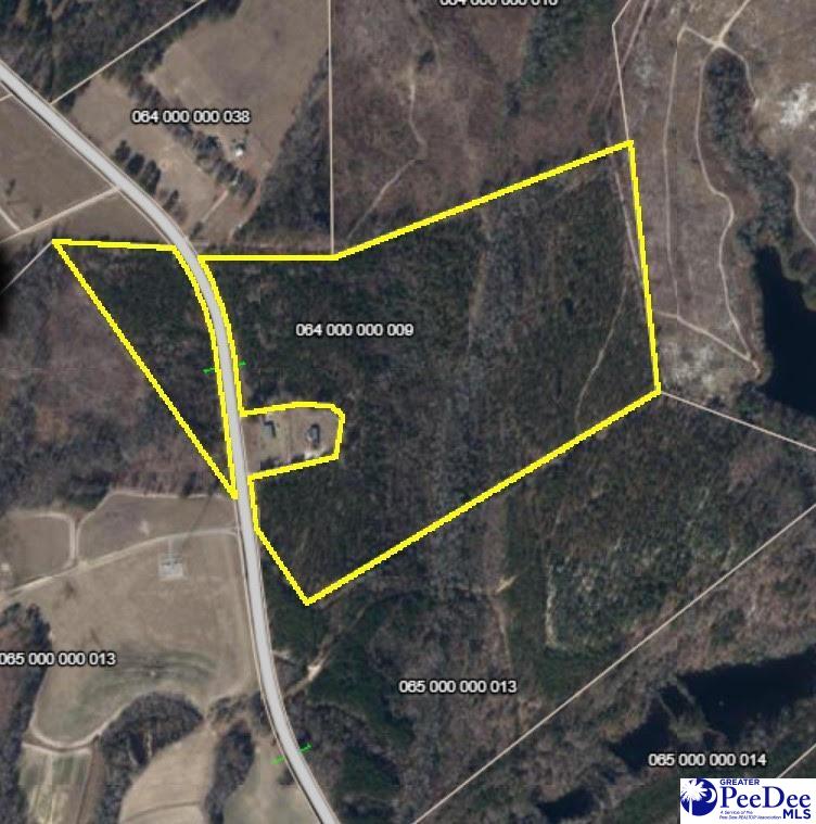 0 Black Creek Road Mount Croghan, SC 29727 - Photo 16 of 16 Gallery Image 16