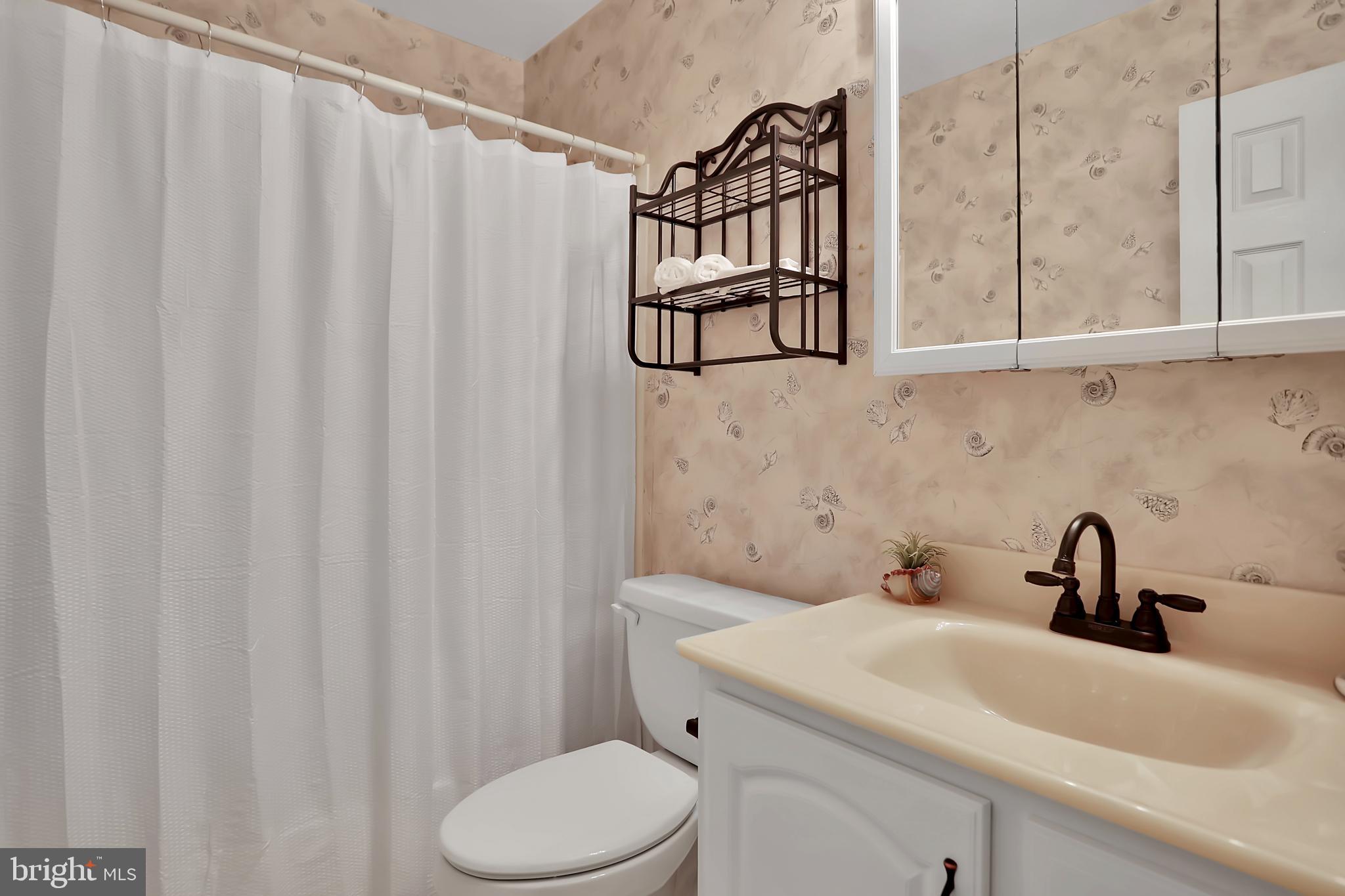 3008 Michael Road Mount Airy, MD 21771 - Photo 22 of 52 Full Bathroom