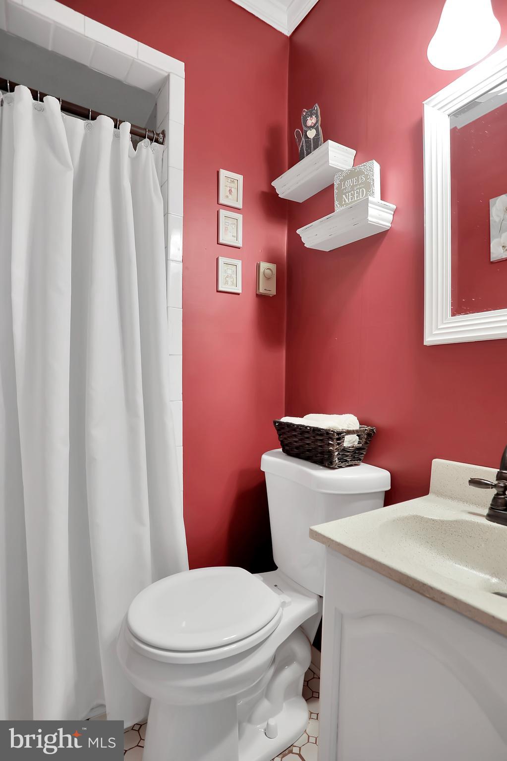 3008 Michael Road Mount Airy, MD 21771 - Photo 26 of 52 Full Bathroom