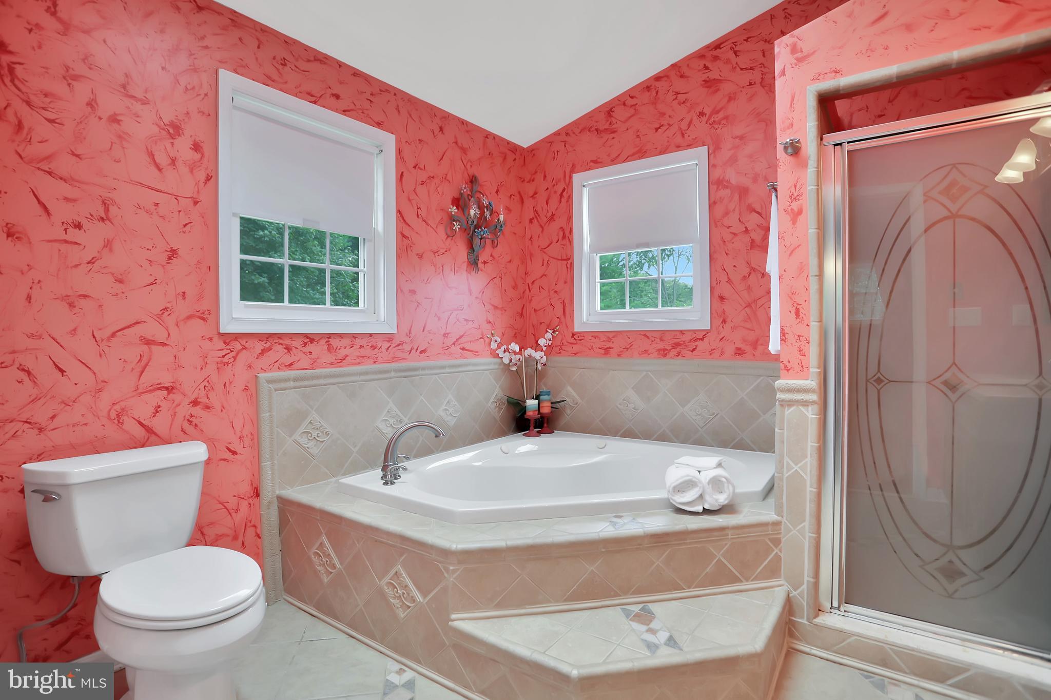 3008 Michael Road Mount Airy, MD 21771 - Photo 35 of 52 Master Bathroom