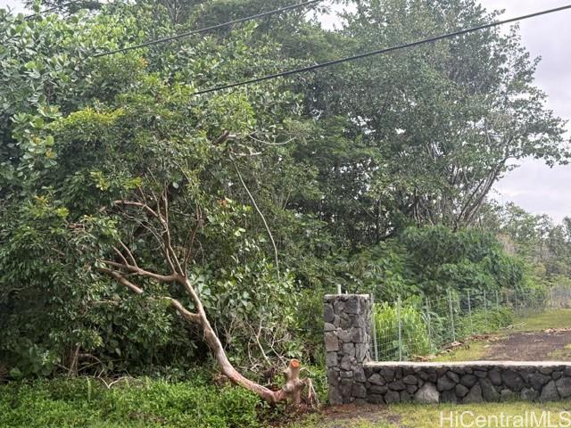 15-1611 Beach Road Keaau, HI 96749 - Photo 3 of 12