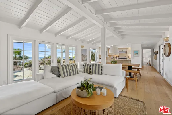 a living room with furniture potted plant and a large window