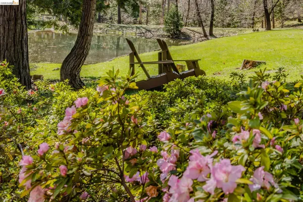 $529,900 | 1554 Vine Maple Drive, Murphys, CA 95247