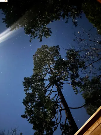 $529,900 | 1554 Vine Maple Drive, Murphys, CA 95247