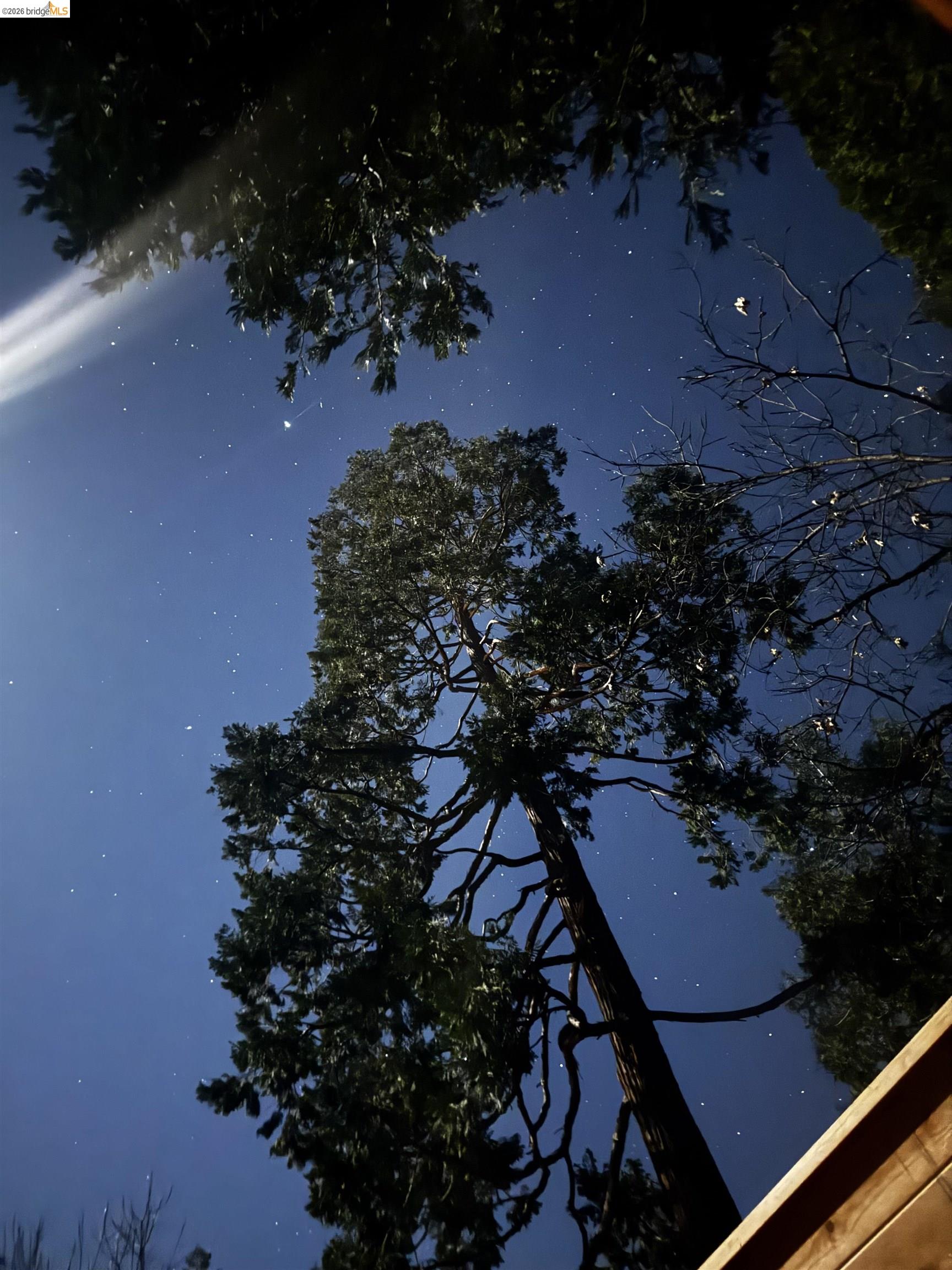 1554 Vine Maple Drive Murphys, CA 95247 - Photo 32 of 54