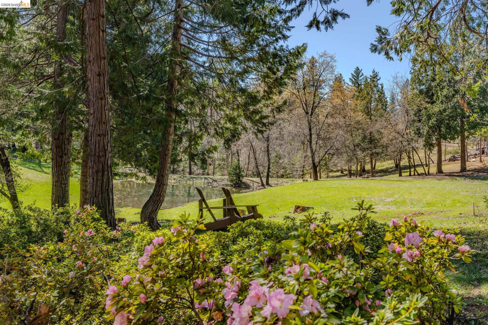 1554 Vine Maple Drive Murphys, CA 95247 - Photo 4 of 54 a view of swimming pool with a garden