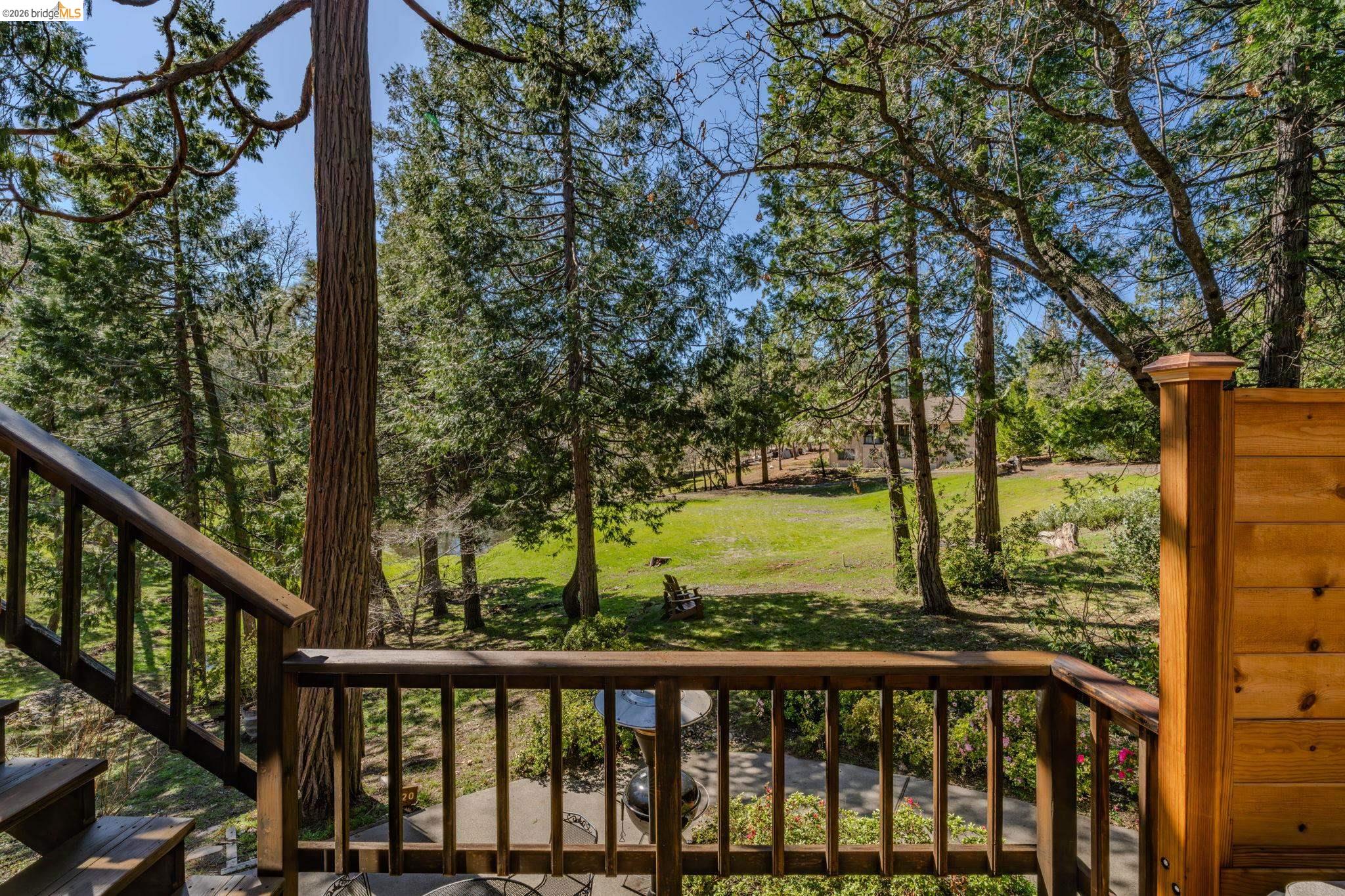 1554 Vine Maple Drive Murphys, CA 95247 - Photo 45 of 54