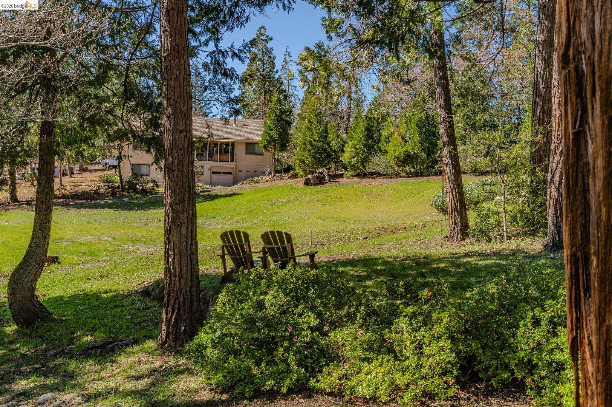 1554 Vine Maple Drive Murphys, CA 95247 - Photo 49 of 54 a view of a garden with an trees