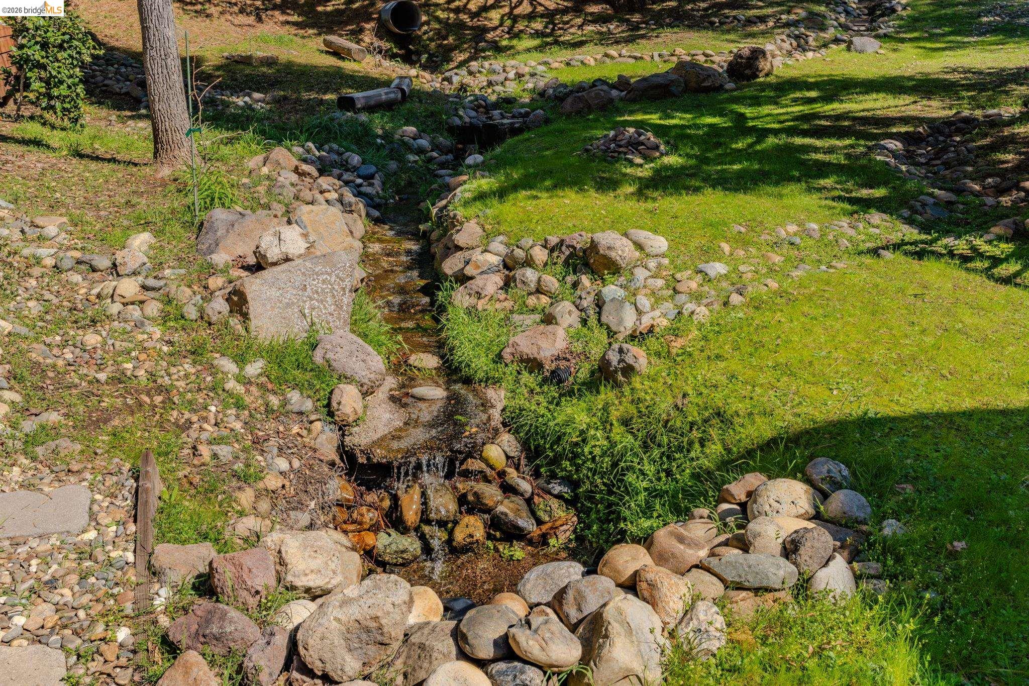 1554 Vine Maple Drive Murphys, CA 95247 - Photo 50 of 54 a view of a bunch of flowers in it