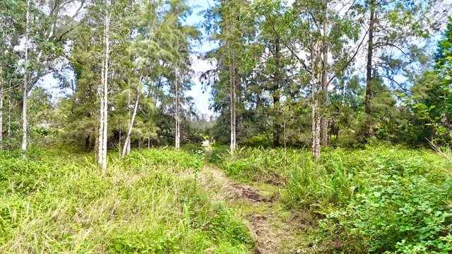 $69,000 | 16-2012 Lot 2409 Road, Mountain View, HI 96771