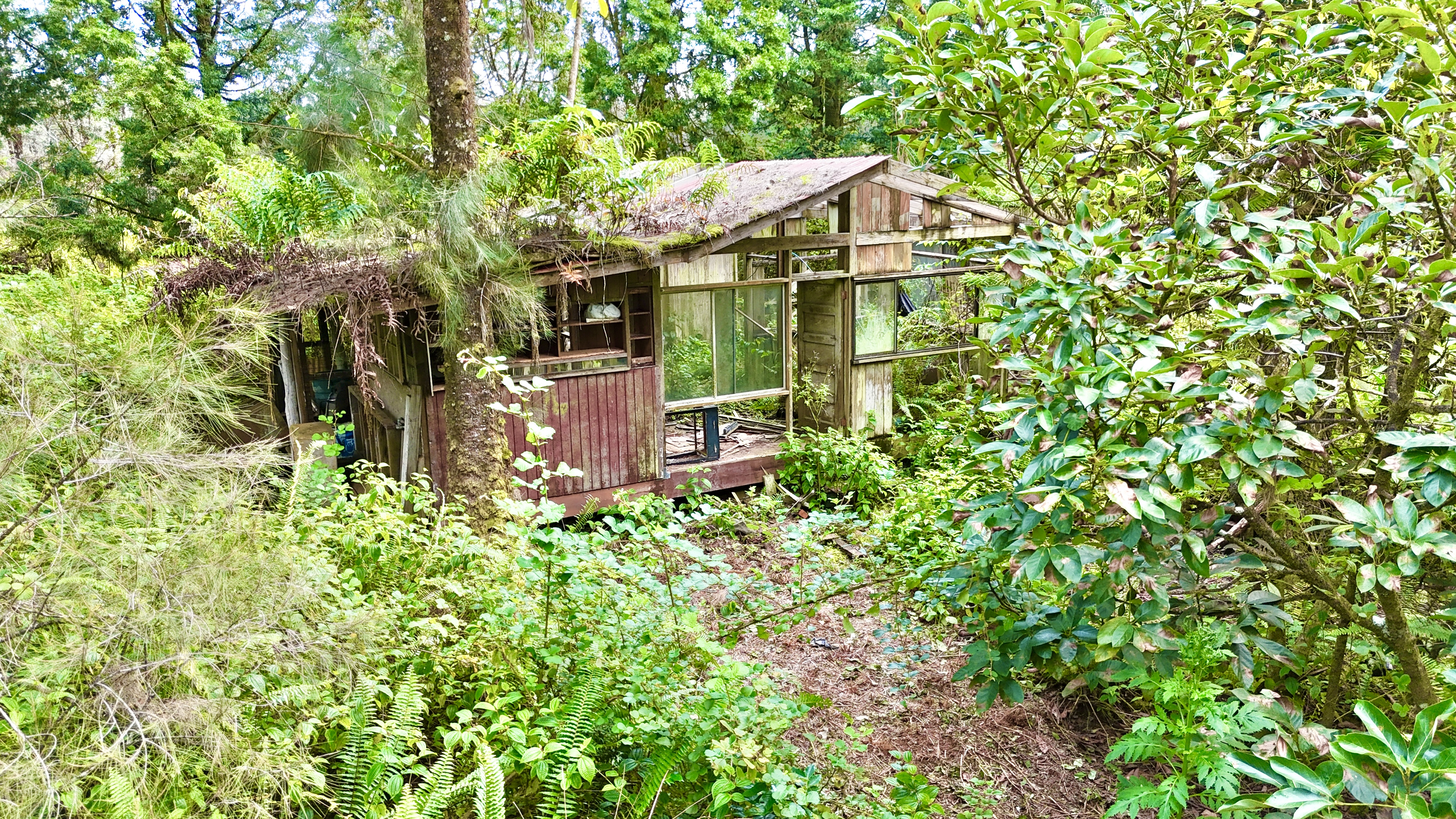 16-2012 Lot 2409 Road Mountain View, HI 96771 - Photo 5 of 10