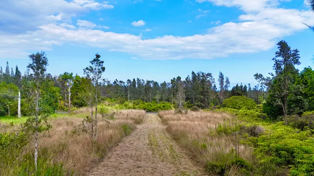 $69,000 | 16-2012 Lot 2409 Road, Mountain View, HI 96771