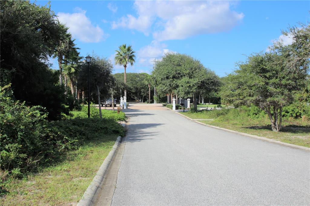 36 Mar Azul North Ponce Inlet, FL 32127 - Photo 3 of 10 a view of road with grass and trees