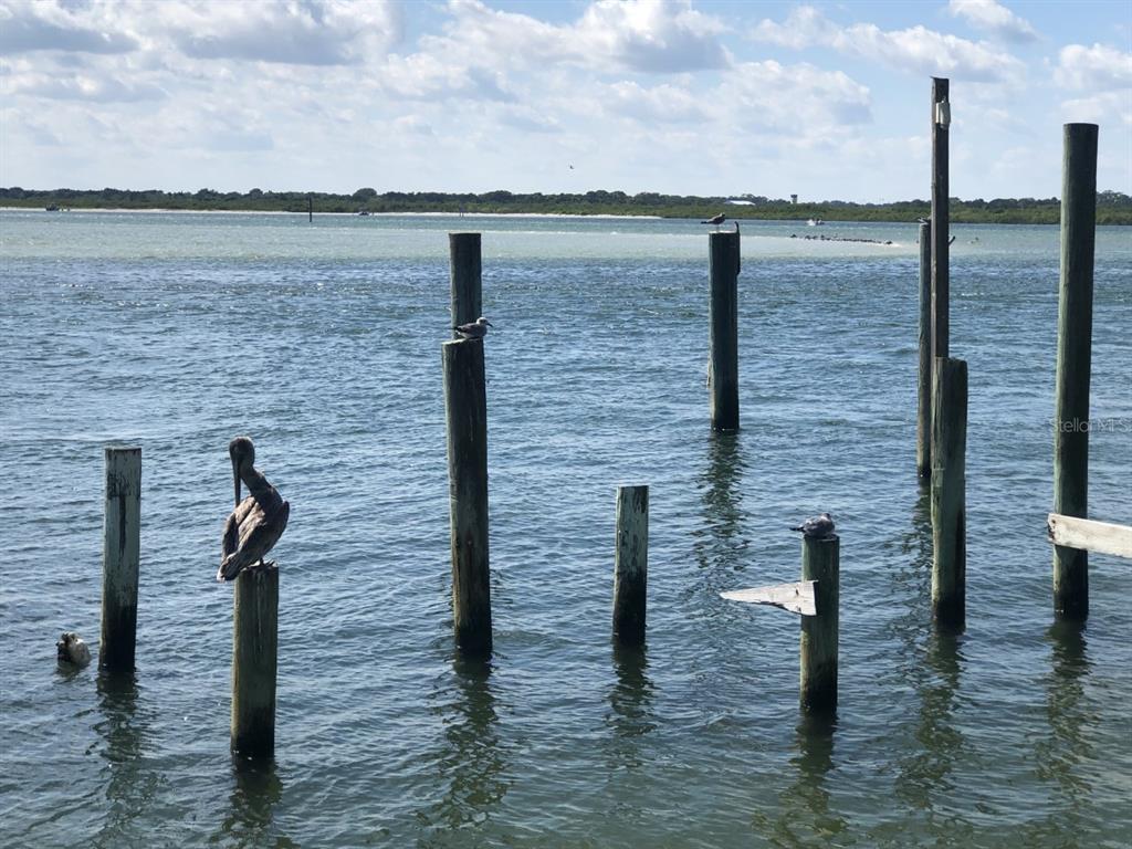 36 Mar Azul North Ponce Inlet, FL 32127 - Photo 9 of 10 a view of outside space