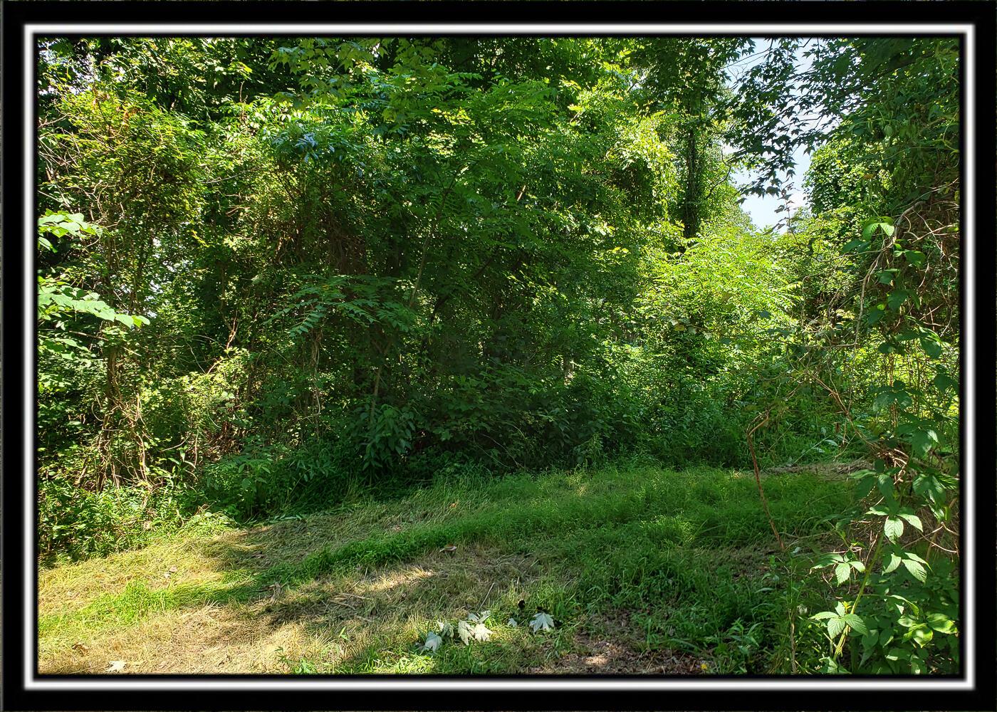 0 Bethel Road, Unit TRACT 4 Patriot, OH 45658 - Photo 32 of 35 CT-32