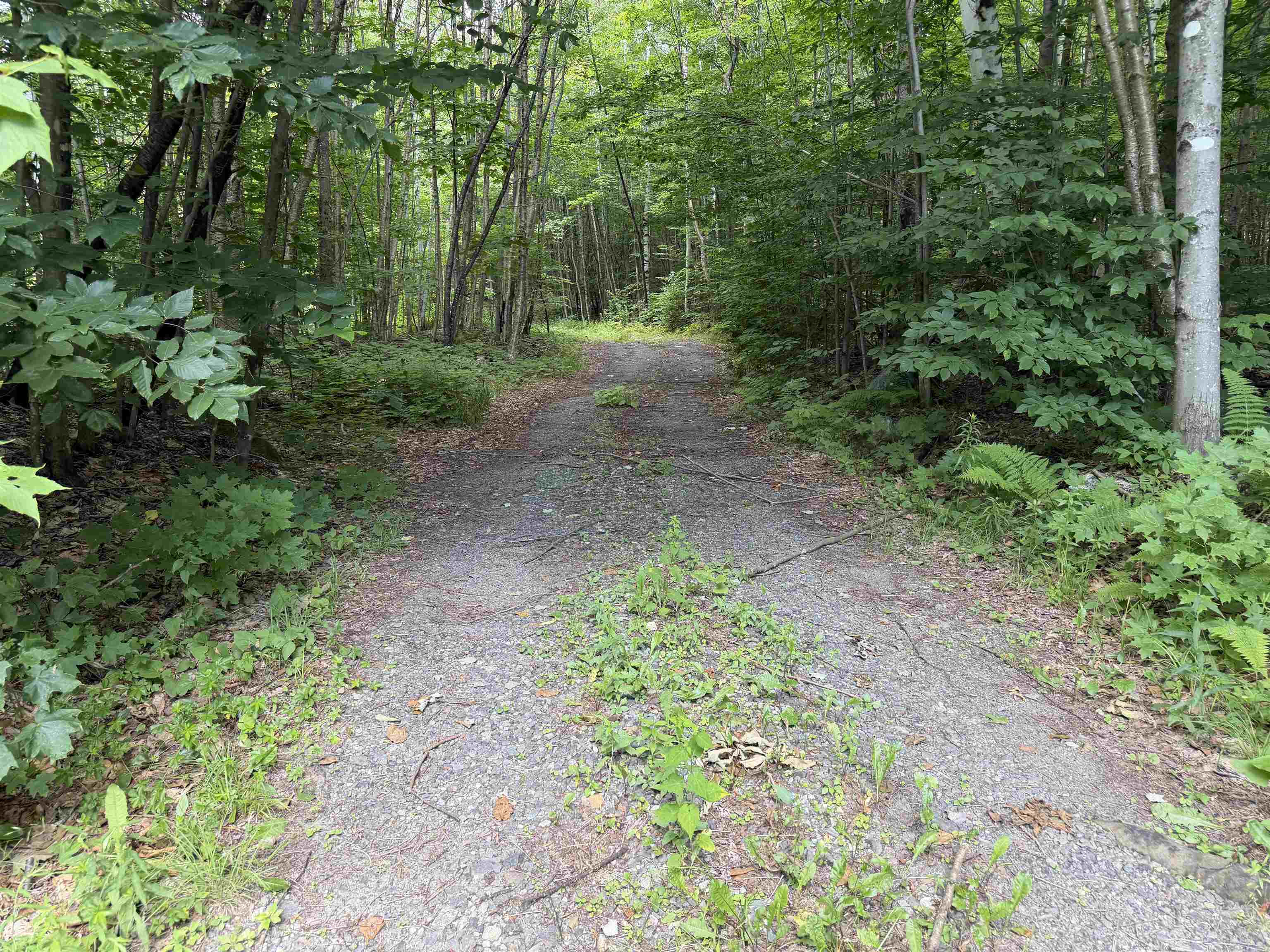 493 Wheeler Mountain Road Barton, VT 05822 - Photo 22 of 48