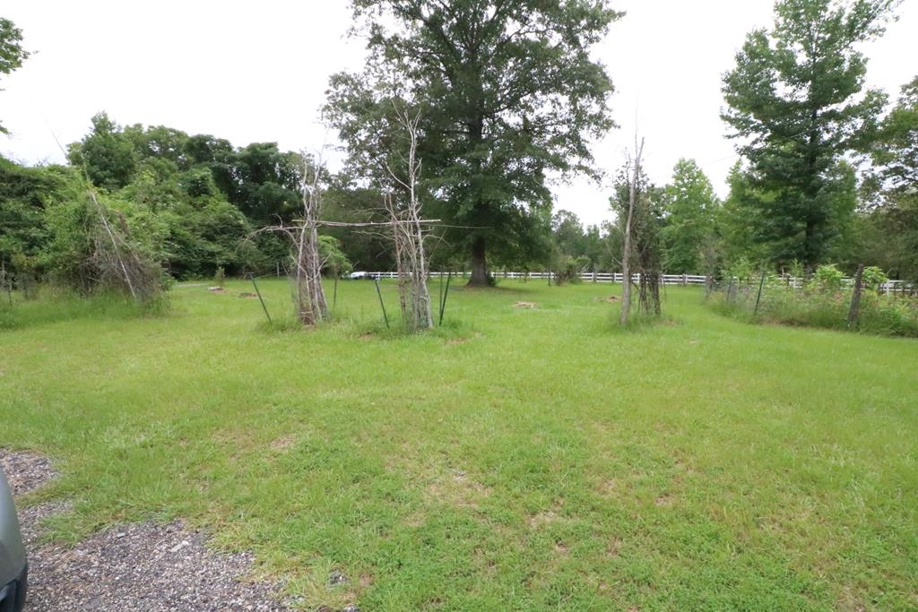 278 Richardson Road Box Springs, GA 31801 - Photo 5 of 40 Gallery Image 5