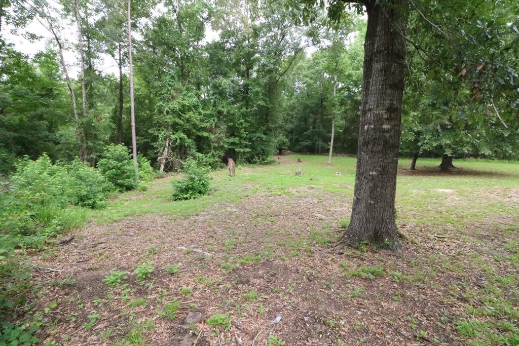 278 Richardson Road Box Springs, GA 31801 - Photo 9 of 40 Gallery Image 9