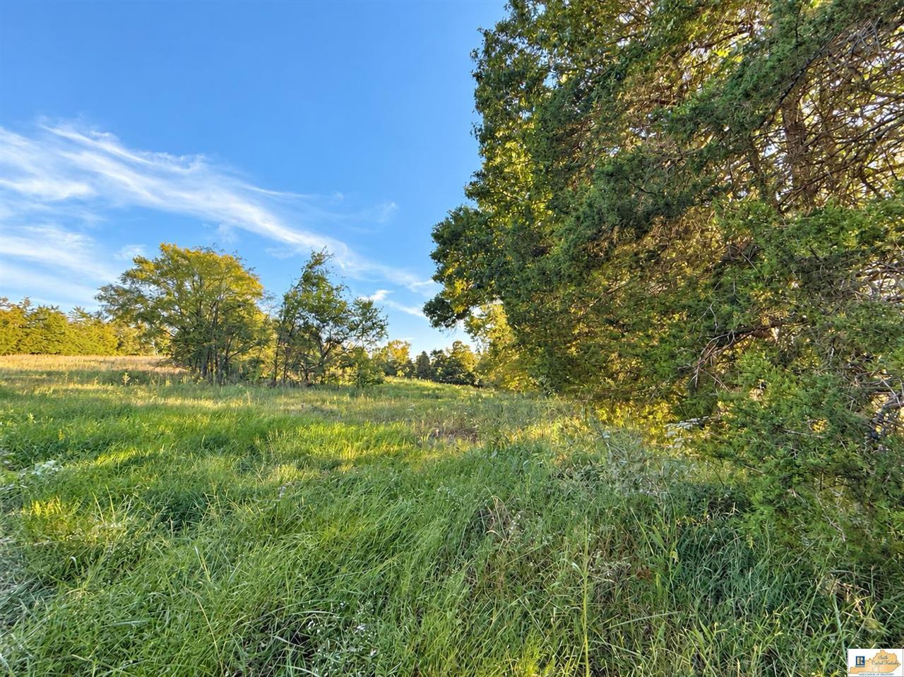 0 Stanley Syra Road Edmonton, KY 42129 - Photo 17 of 28 Gallery Image 17