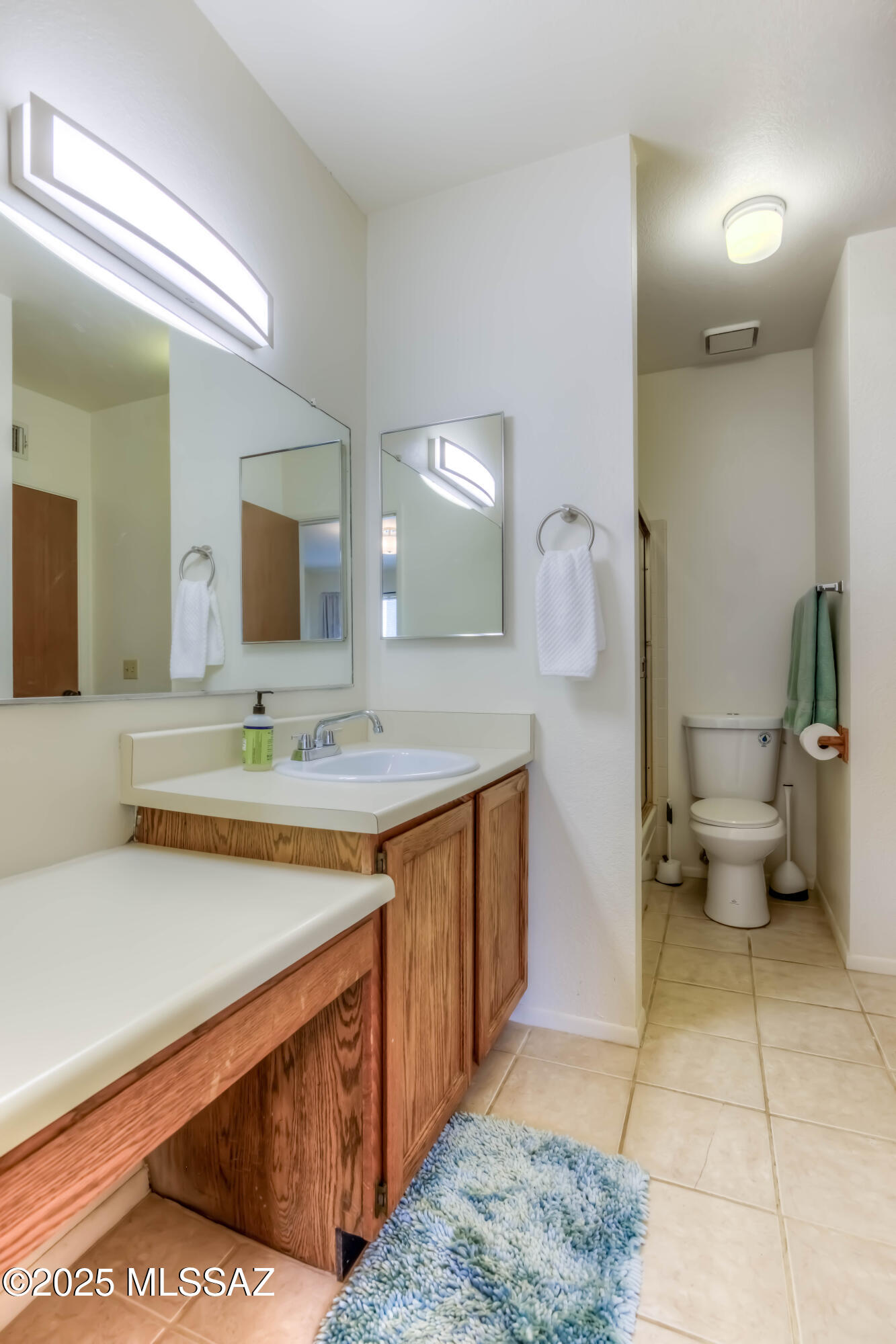 3690 North Country Club Road, Unit 1010 Tucson, AZ 85716 - Photo 16 of 21 21 Bathroom 2 photo a
