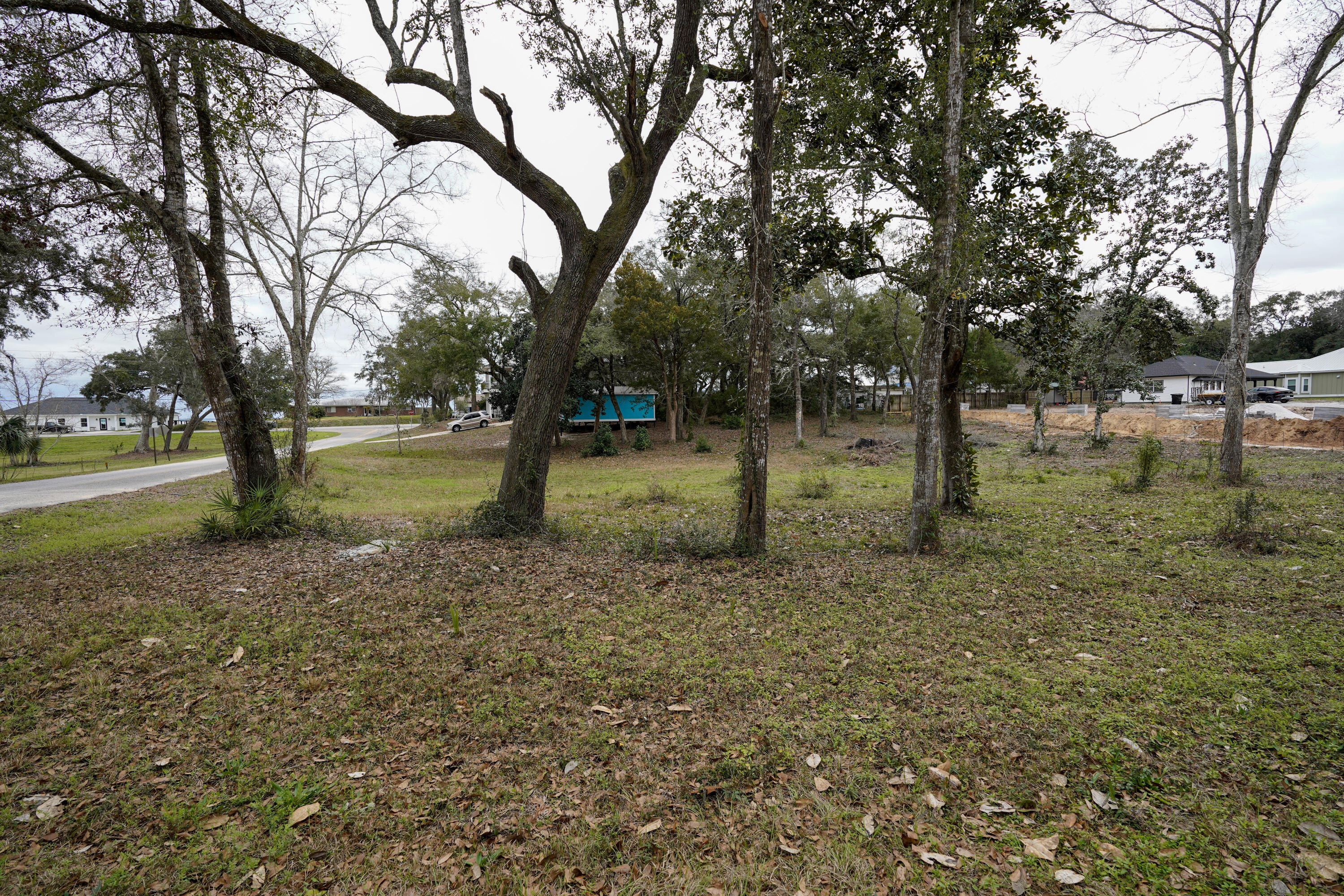 Lot 20 Satsuma Road Niceville, FL 32578 - Photo 2 of 35 a view of yard with tree and