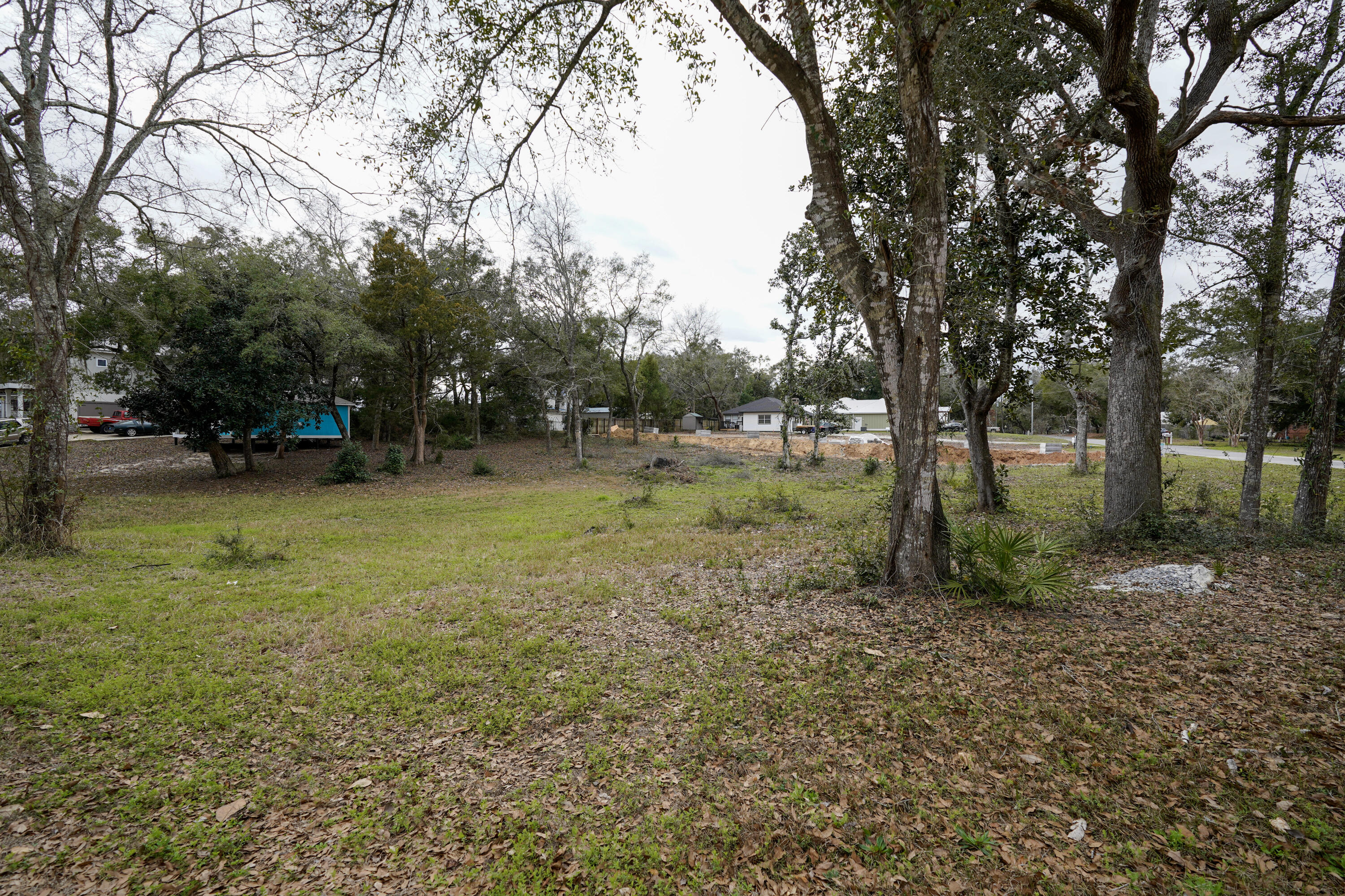 Lot 20 Satsuma Road Niceville, FL 32578 - Photo 23 of 35 a view of park with trees