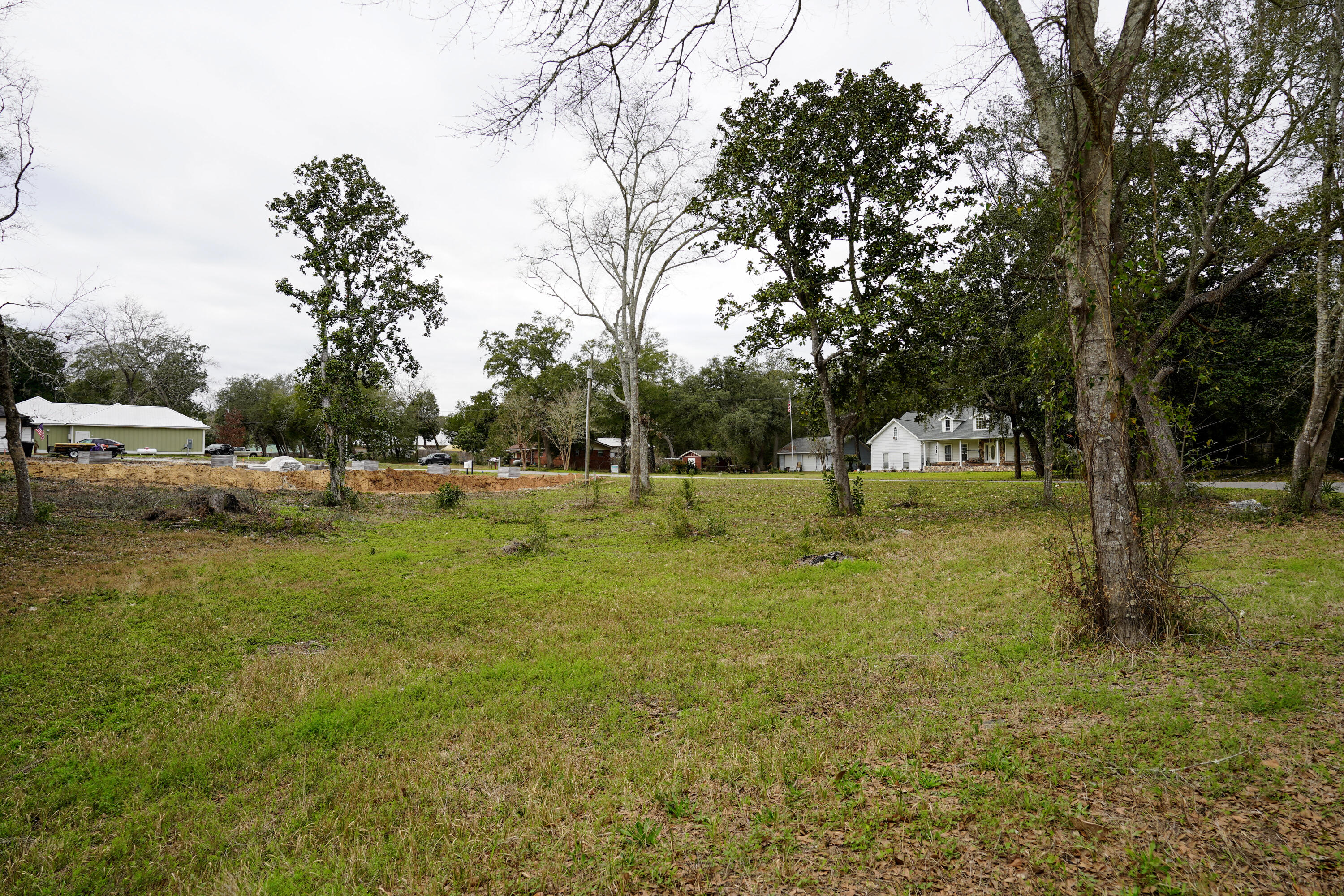 Lot 20 Satsuma Road Niceville, FL 32578 - Photo 4 of 35 a view of a park with large trees