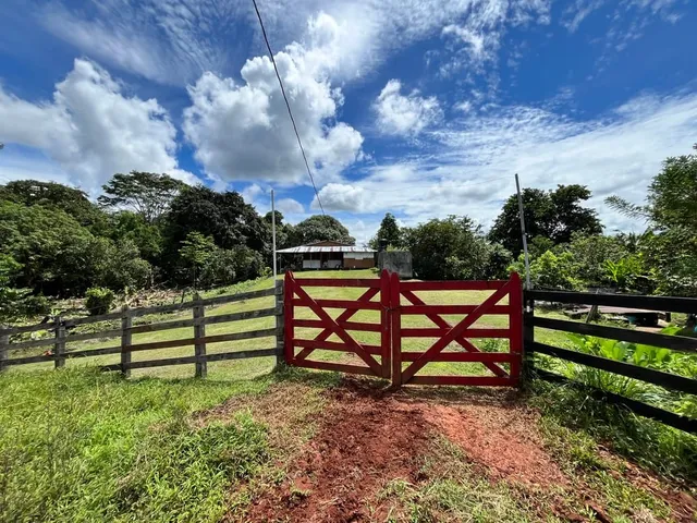 a view of outdoor space with garden and entertaining space