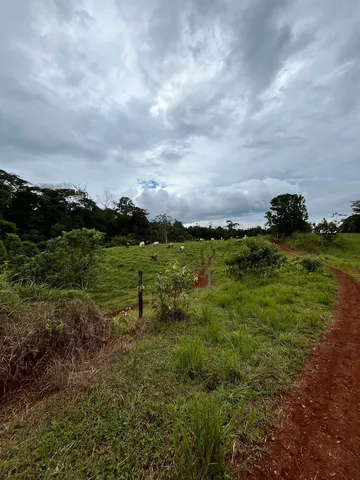 a view of a golf course with lots of trees