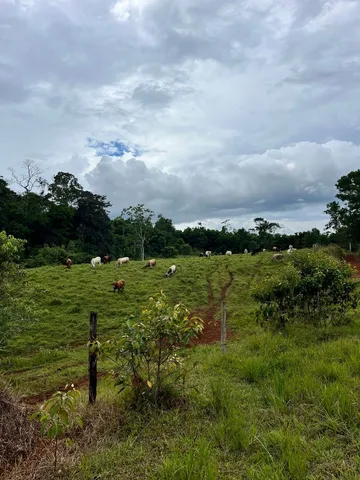a view of a lake with houses in the back