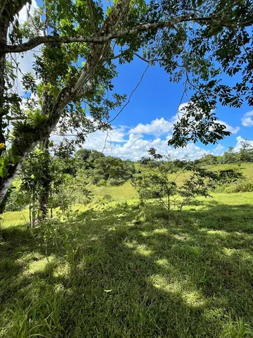 a view of a lush green outdoor space with mountain view