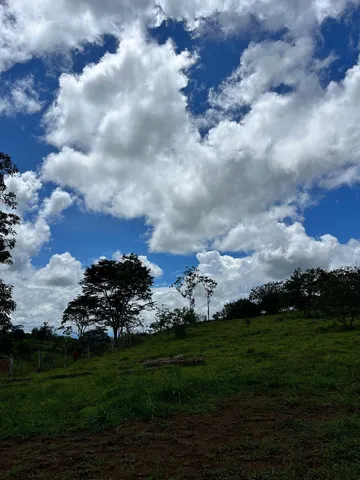 a view of swimming pool with a yard
