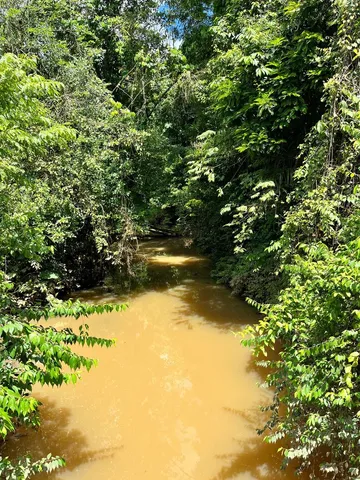 a view of a big yard