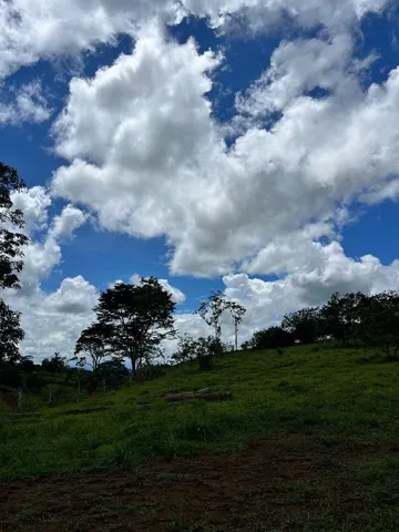 a view of a lake with a big yard