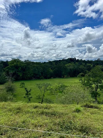 a view of an outdoor space and a yard