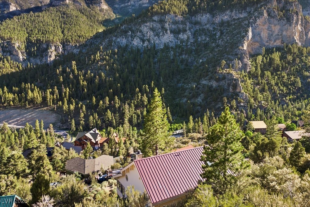 310 Kris Kringle Road Mount Charleston, NV 89124 - Photo 53 of 76