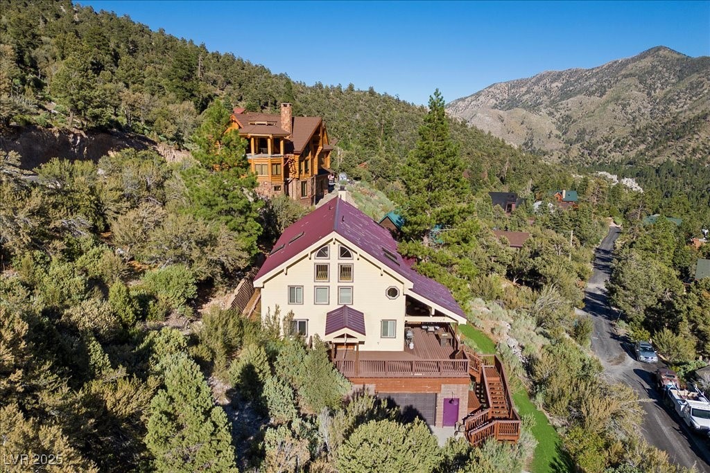 310 Kris Kringle Road Mount Charleston, NV 89124 - Photo 54 of 76