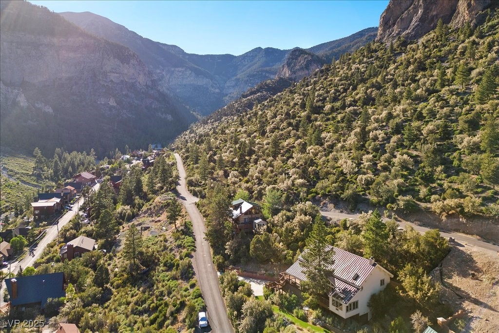 310 Kris Kringle Road Mount Charleston, NV 89124 - Photo 55 of 76